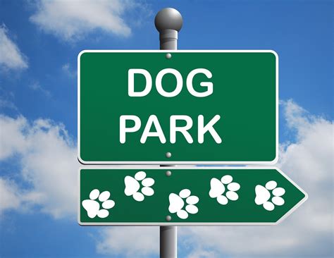 dog park clipart|dog park clip art images.